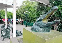 Mirador de Cocodrilos 4